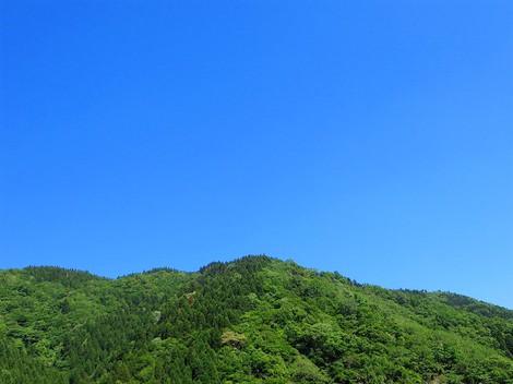 青い空が・・暦に小満が・・
