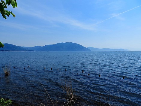 午後に暑くなって・・琵琶湖岸の草刈り作業