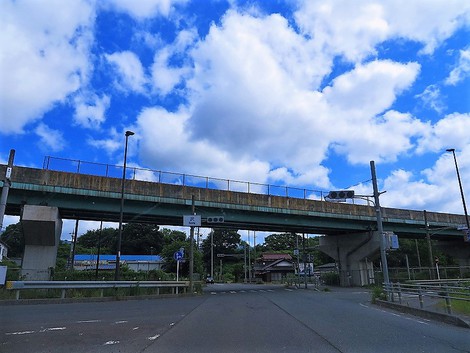 午後は、青空一色で・・メタセコイヤ並木