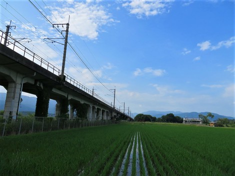 空梅雨か？？いやいや・・木曜日