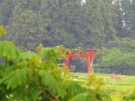 梅雨らしい天候で6月末日～2017