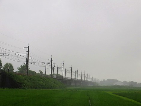 それほど台風の影響もなさそうな夕方・・でも雨