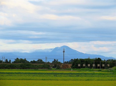 今日も日差しもあったけど・・風は秋の風のように・・