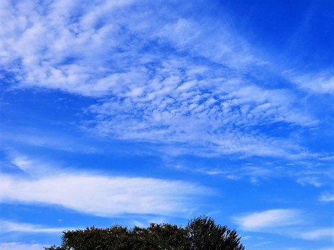 今日も秋空見ながら・・月曜日