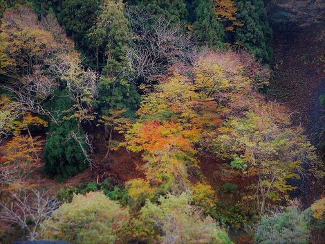 高島しぐれ・・冬の合図の虹・・