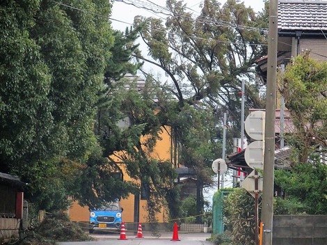 夕方のお月様・・台風22号の情報