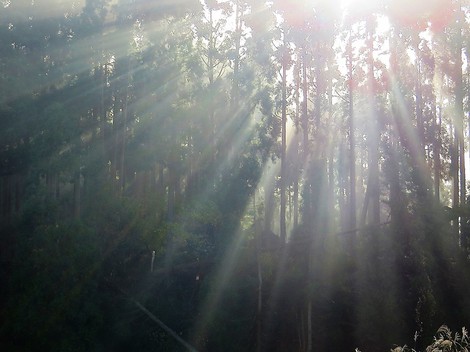 寒暖差・・激しく・・でも晴れの秋風景が・・