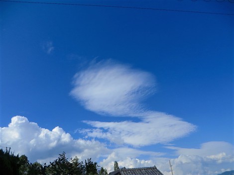 夏の中に‥少し秋の空
