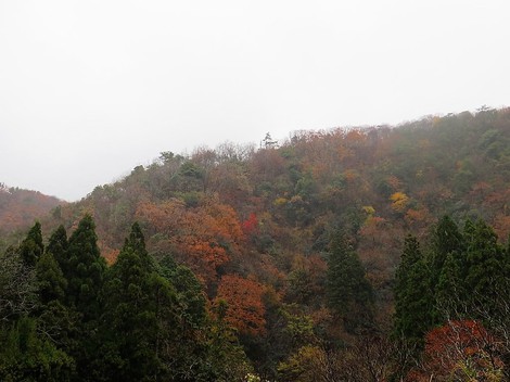 山沿いは時雨・・里は曇りの天候で・・今月も・・