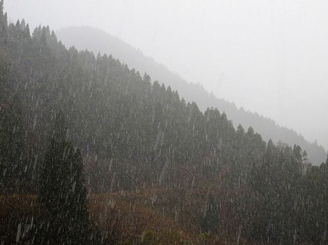 冷たい！風景ばかりで・・夕方遠くの山に雪・・