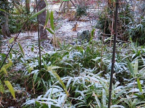 薄っすら・・屋根に雪も・・水曜日の朝・・寒っつ！