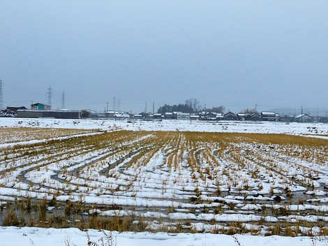 今日も風景は雪ばかりです・・火曜日