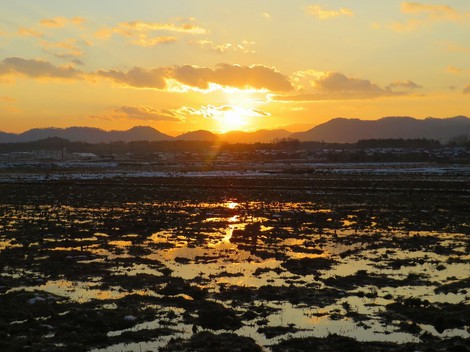 夕焼け見えて・・水曜日も・・