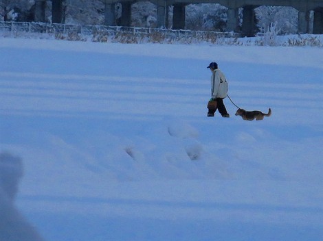 再び雪景色・・・