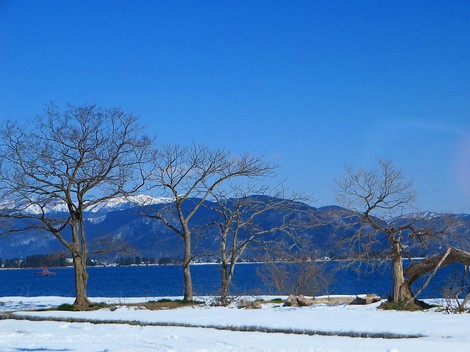 シャキッとの風景でした・・晴れ！