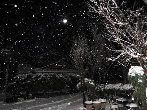 積雪８センチで・・寒い朝