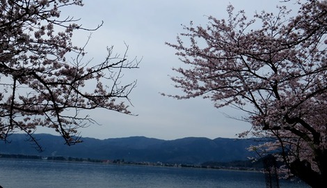 春の嵐で・・