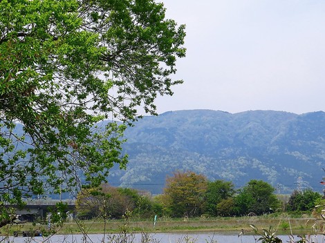 春晴れの月曜日・・明日は雨か？