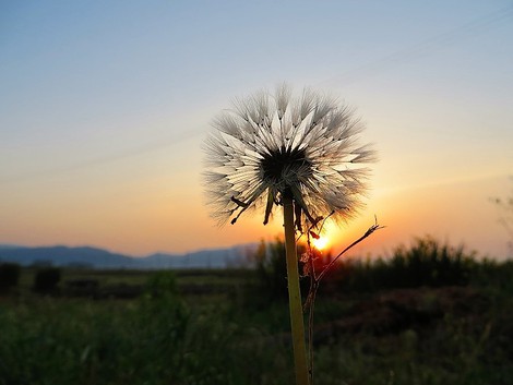今朝も朝陽から・・午後は真夏日？？火曜日・・