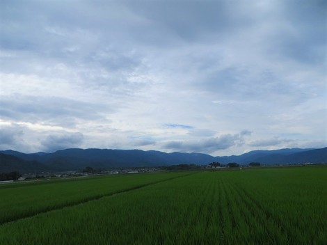 薄日で一日・・でも体に堪える暑さで・・木曜日