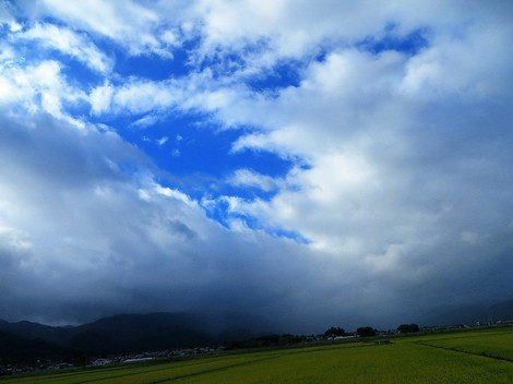 湿度高く・・山沿い雨で、琵琶湖岸は白雲も・・