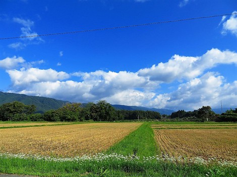 青空のお昼・・茜色の夕焼けで木曜日・・台風18号進路・・