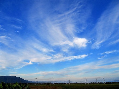 秋らしい風景も増えて・・黄昏は少し茜色になって・・