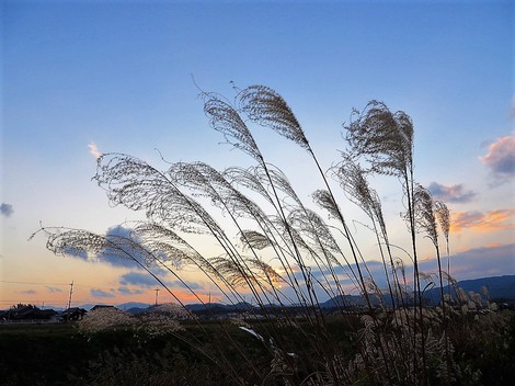 僅かな時間でした・・夕焼け空・・そして北風