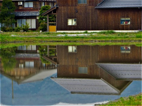 夕方から雨・・昭和の日