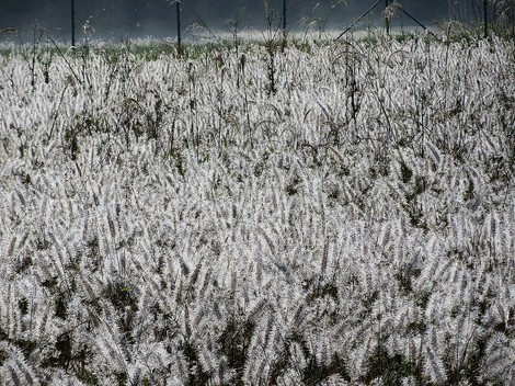 秋深い始まりの景色みながら・・台風22号も気がかり・・