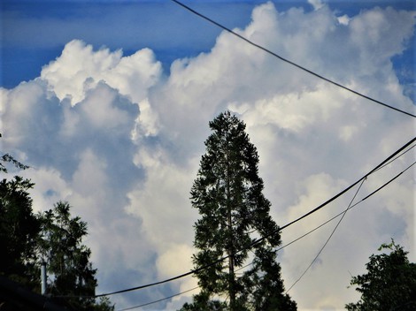 夏の中に‥少し秋の空