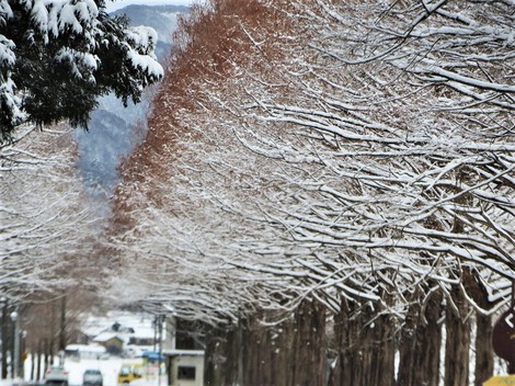 雪があって青空で・・雪の華
