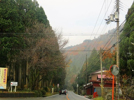 山沿いは時雨・・里は曇りの天候で・・今月も・・