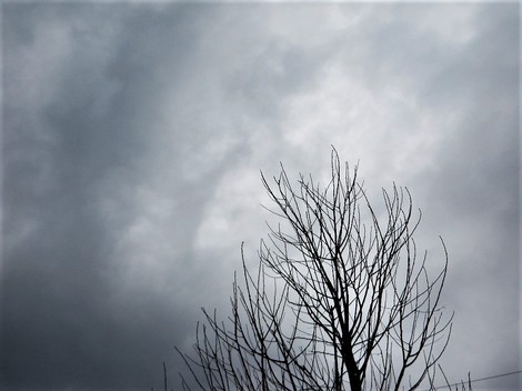 今日は雨と曇り空・・土曜日