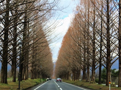 祝日・・一日・・日曜日・・一日