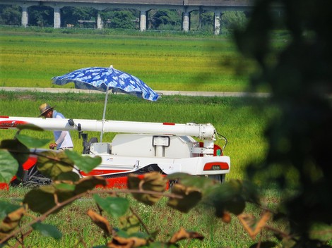３９、2度だったそうで・・