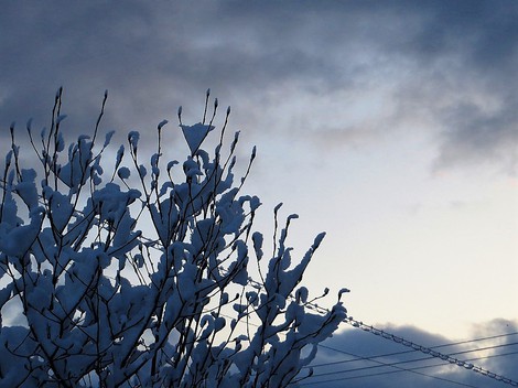 再び雪景色・・・