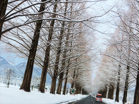 雪があって青空で・・雪の華