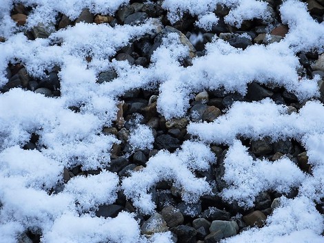 春の雪・・・寒い朝です