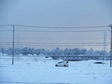 春の雪・・・寒い朝です