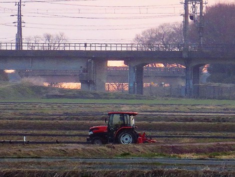 今朝のボンヤリ朝陽～～晴れの春かな？