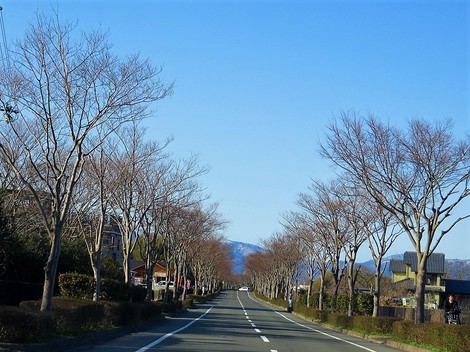 一日・・春ばかり・・