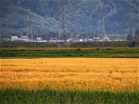 11人・・新規感染者‥高島市～～