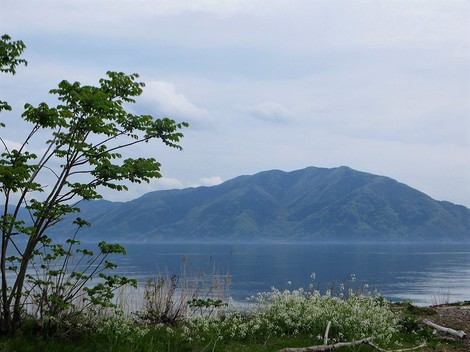 初任給・・・田植えも始まった