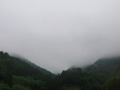 小雨の琵琶湖岸・・緑も妖艶・・