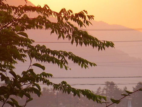 今朝も朝陽から・・午後は真夏日？？火曜日・・