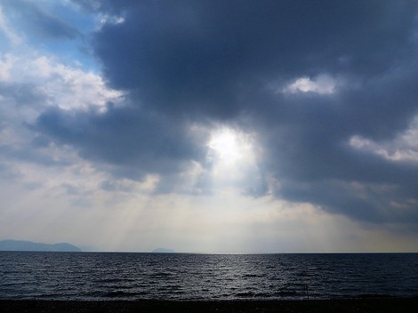 残暑・・残暑で火曜日だった