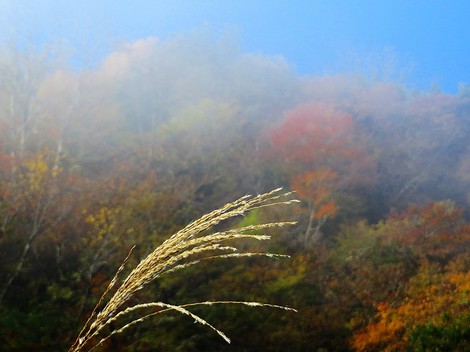 寒暖差・・激しく・・でも晴れの秋風景が・・
