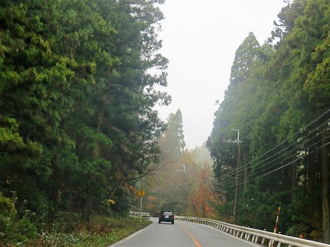 山沿いは時雨・・里は曇りの天候で・・今月も・・