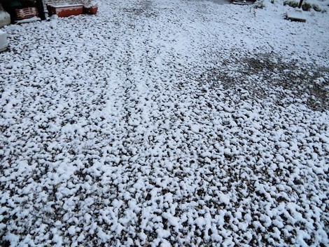 薄く雪の朝・・日曜日の朝冷たいわ！！